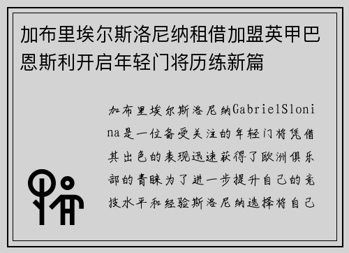 加布里埃尔斯洛尼纳租借加盟英甲巴恩斯利开启年轻门将历练新篇